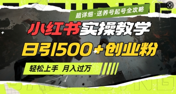2月小红书最新日引500+创业粉实操教学【超详细】小白轻松上手，月入1W+，附小红书养号起号SOP-木石资源网
