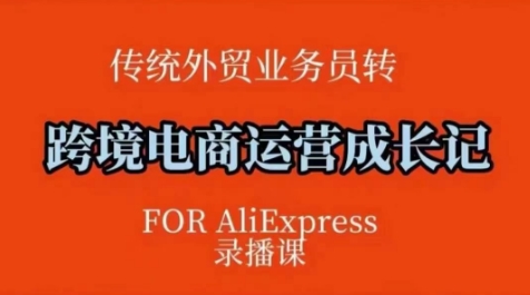 跨境电商速卖通运营课，​运营方法论+后台实操，逻辑清晰-木石资源网