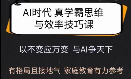 Ai时代真学霸思维与学习方法课，有格局且接地气，家庭教育有力参考-木石资源网
