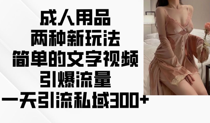 成人用品两种新玩法，简单的文字视频引爆流量，一天引流私域300+-木石资源网