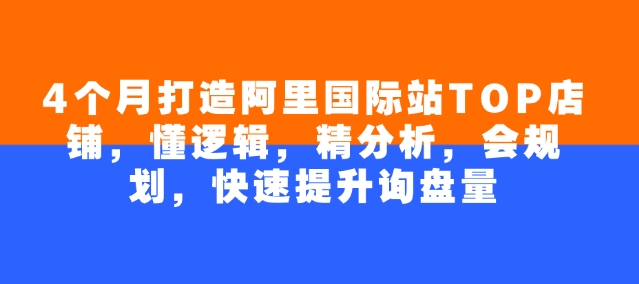 4个月打造阿里国际站TOP店铺，懂逻辑，精分析，会规划，快速提升询盘量-木石资源网