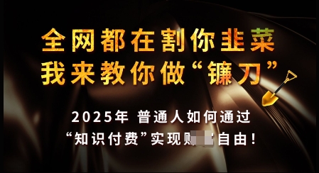 知识付费如何做到月入过W+，2025我来教你做“镰刀”【揭秘】-木石资源网