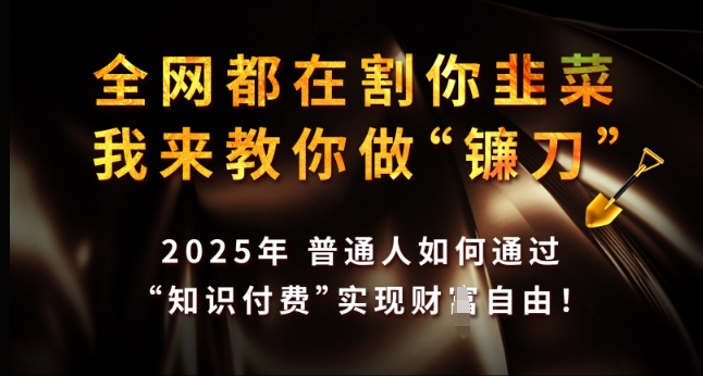 全网都在割你韭菜，我来教你做镰刀，2025年普通人如何通过 知识付费 实现财F自由【揭秘】-木石资源网
