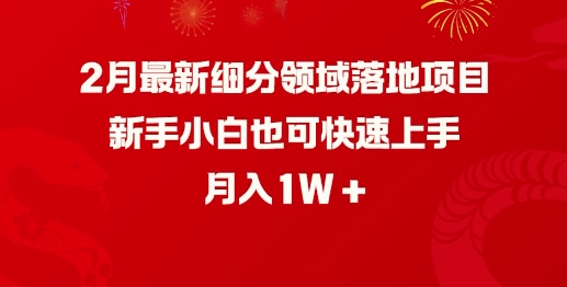 2月最新细分领域落地项目，新手小白也可快速上手，月入1W-木石资源网
