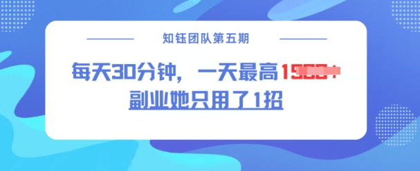 副业她只用了1招，每天30分钟，无脑二创，一天最高1.5k-木石资源网