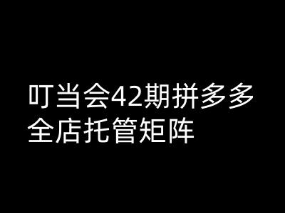 叮当会拼多多打爆班原创高阶技术第42期，拼多多全店托管矩阵-木石资源网