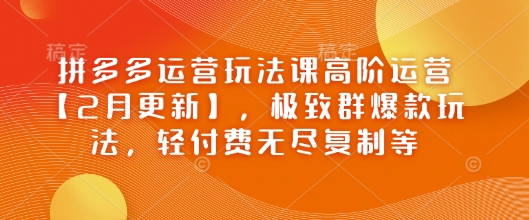 拼多多运营玩法课高阶运营【2月更新】，极致群爆款玩法，轻付费无尽复制等-木石资源网