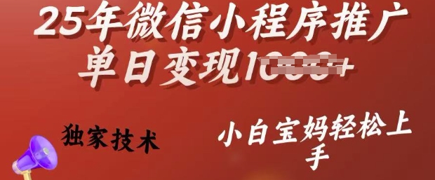 25年微信小程序推广单日变现多张，独家技术，小白宝妈轻松上手【揭秘】-木石资源网