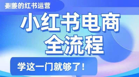小红书电商全流程，精简易懂，从入门到精通，学这一门就够了-木石资源网