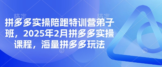 拼多多实操陪跑特训营弟子班，2025年2月拼多多实操课程，海量拼多多玩法-木石资源网