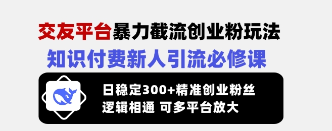 交友平台暴力截流创业粉玩法，知识付费新人引流必修课，日稳定300+精准创业粉丝，逻辑相通可多平台放大-木石资源网