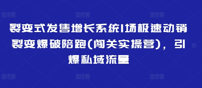 裂变式发售增长系统1场极速动销裂变爆破陪跑(闯关实操营)，引爆私域流量-木石资源网
