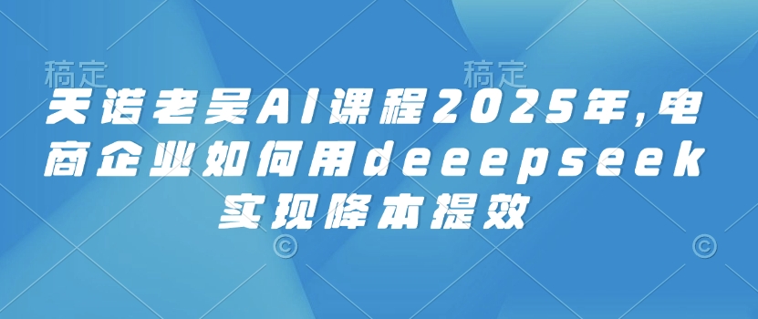 天诺老吴AI课程2025年，电商企业如何用deeepseek实现降本提效-木石资源网