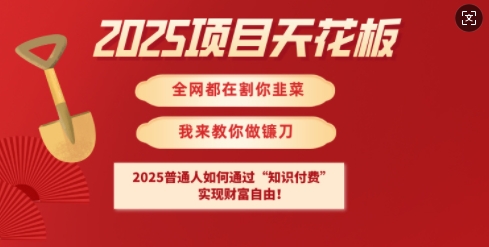 2025项目天花板普通人如何通过知识付费，实现财F自由【揭秘】-木石资源网