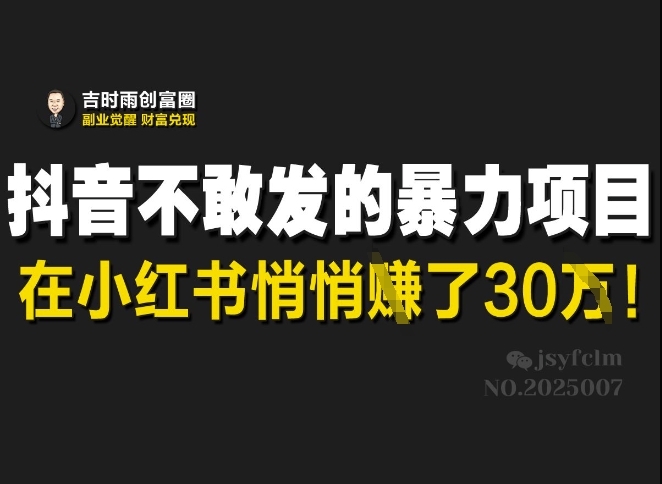 抖音不敢发的暴利项目，在小红书悄悄挣了30W-木石资源网