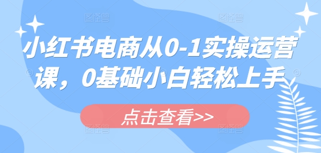 小红书电商从0-1实操运营课，0基础小白轻松上手-木石资源网