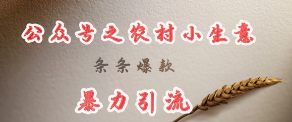 deepseek写农村小项目，条条爆款，暴力引流-木石资源网