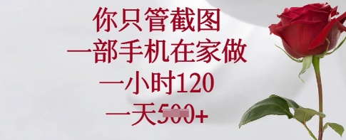 你只管截图，一部手机在家做，一小时120.一天5张【揭秘】-木石资源网