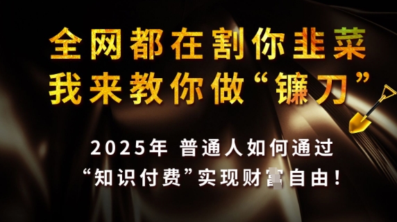 全网都在割你韭菜，我来教你做镰刀，2025普通人如何通过知识付费，实现财F自由【揭秘】-木石资源网