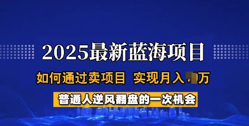 2025蓝海项目，普通人如何通过卖项目，实现月入过W，全过程【揭秘】-木石资源网
