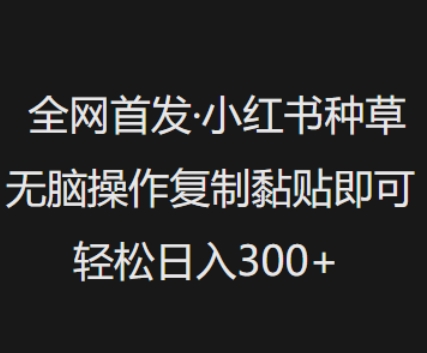 全网首发，小红书种草无脑操作，复制黏贴即可，轻松日入3张-木石资源网