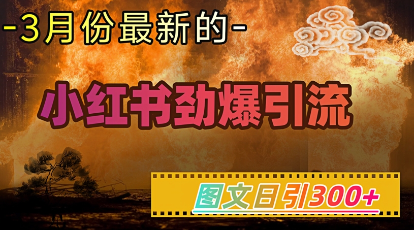 小红书超劲爆引流手段，图文日引300+轻松变现1W-木石资源网
