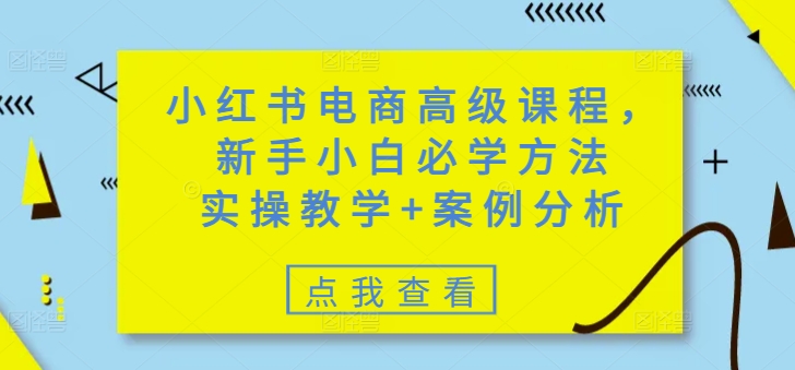 小红书电商高级课程，新手小白必学方法，实操教学+案例分析-木石资源网