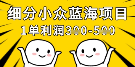 细分小众蓝海项目，一单利润3张，每月收入稳定过1w+-木石资源网