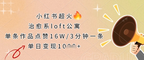 小红书超火的治愈系loft公寓，单条作品点赞16W，3分钟一条，单日变现数张-木石资源网