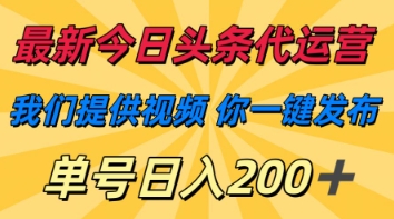 最新今日头条代运营，我们提供视频，你一键发布，单号日入200+【揭秘】-木石资源网