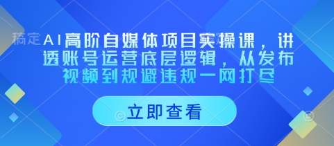 AI高阶自媒体项目实操课，讲透账号运营底层逻辑，从发布视频到规避违规一网打尽-木石资源网