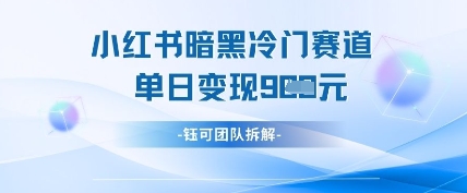 小红书冷门”暗黑”赛道，单日收益多张-木石资源网