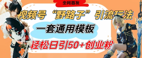 视频号“野路子”玩法，评论区疯狂截流，一套模板单日单号引流50+创业粉-木石资源网