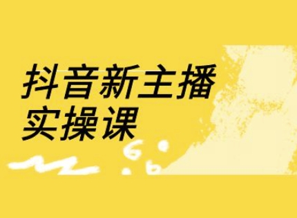 抖音新主播实操课，直播间流量运营线上实操课(18节)-木石资源网