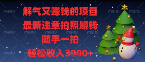 解气又挣钱的项目，最新违章拍照挣钱，随手一拍，轻松收入多张【揭秘】-木石资源网