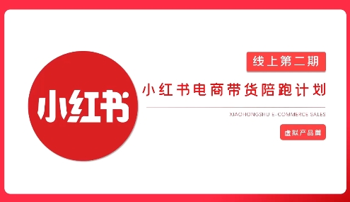 2025小红书虚拟电商实战课，从0到1打造无货源店铺，AI+爆款笔记轻松变现-木石资源网