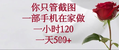 你只管截图，一部手机在家操作，一小时120.一天5张【揭秘】-木石资源网