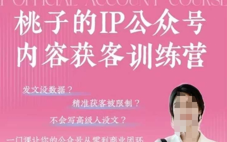桃子IP公众号内容获客训练营(第3期)，一门让你公众号从0到商业闭环的课程-木石资源网