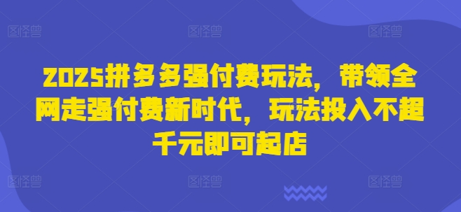 2025拼多多强付费玩法，带领全网走强付费新时代，玩法投入不超千元即可起店-木石资源网