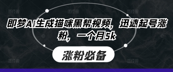 即梦AI生成猫咪黑帮视频，迅速起号涨粉，一个月5k-木石资源网