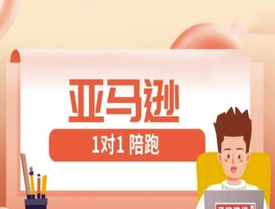 亚马逊1对1陪跑课(FBA/FBM精铺)跨境亚马逊教程-木石资源网