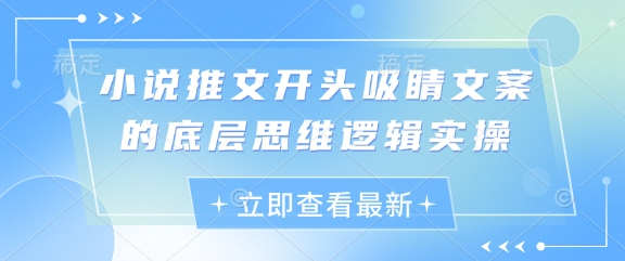 小说推文开头吸睛文案的底层思维逻辑实操-木石资源网