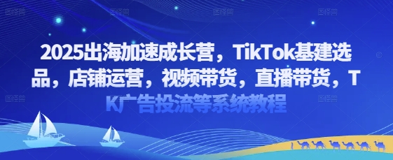 2025出海加速成长营，TikTok基建选品，店铺运营，视频带货，直播带货，TK广告投流等系统教程-木石资源网
