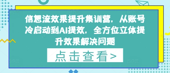 信息流效果提升集训营，从账号冷启动到AI提效，全方位立体提升效果解决问题-木石资源网