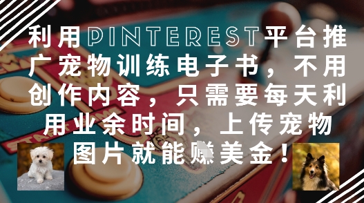 利用Pinterest平台推广宠物训练电子书，不用创作内容，只需要每天利用业余时间，上传宠物图片就能挣美金!-木石资源网