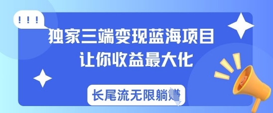 独家三端变现蓝海项目，让你收益最大化，长尾流无限躺挣-木石资源网