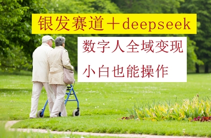 银发赛道+deepseek数字人全域变现，小白也能操作-木石资源网