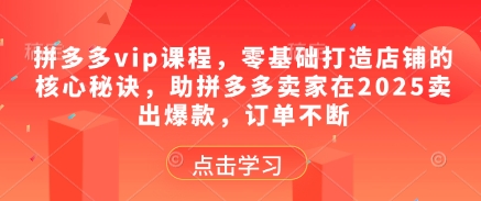 拼多多vip课程，零基础打造店铺的核心秘诀，助拼多多卖家在2025卖出爆款，订单不断-木石资源网