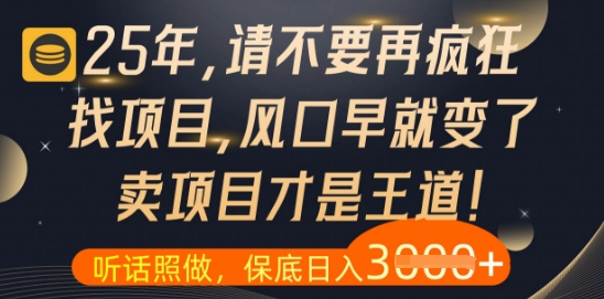 什么？25年你还在疯狂找项目做，醒醒吧，看完这些你全都懂了【揭秘】-木石资源网