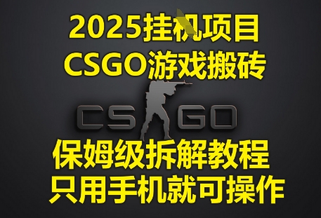 2025挂G项目，CSGO游戏搬砖，保姆级拆解教程，只用手机就可操作【揭秘】-木石资源网